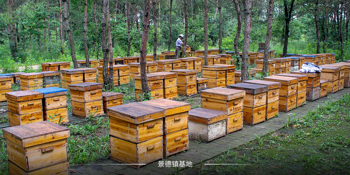 景德鎮(zhèn)基地